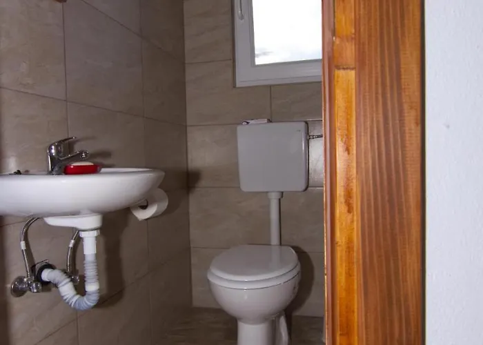 Onix 布罗达里卡