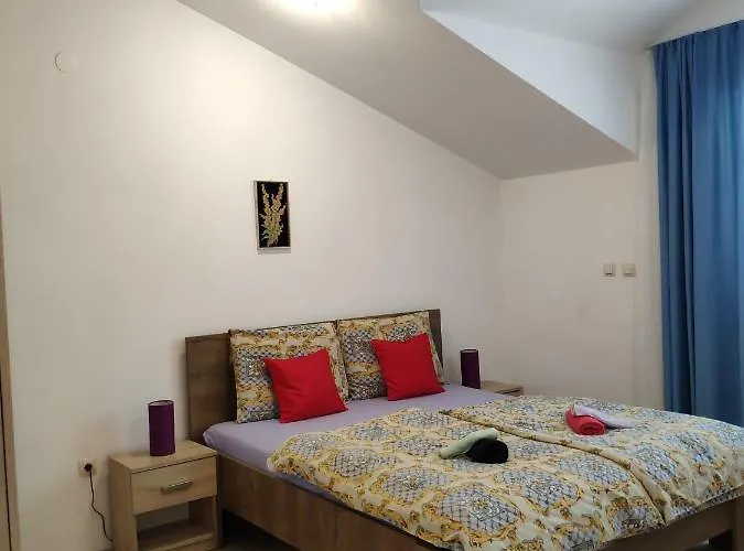 Onix * 布罗达里卡